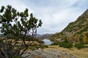 GIRO DEI CINQUE LAGHI sul sent. CAI 250 al RIF. GEMELLI da Carona il 26 ottobre 2017 - FOTOGALLERY